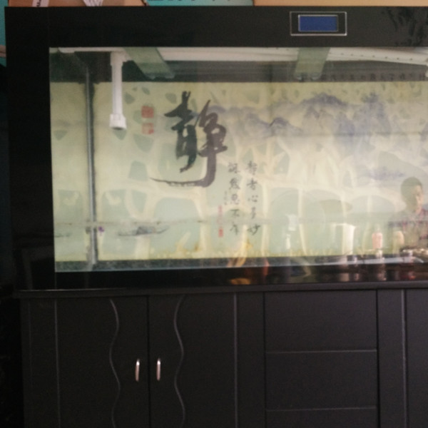 鋼琴、魚缸專運(yùn)現(xiàn)場